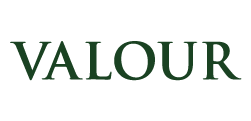 Valour-logo-small
